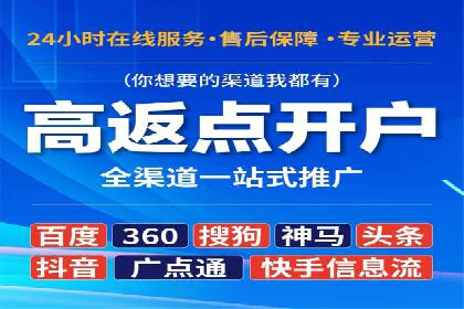 百度SEO推广策略调整：一个成功的调整案例